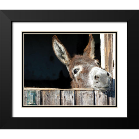 Whos There? Black Modern Wood Framed Art Print with Double Matting by Hawlan