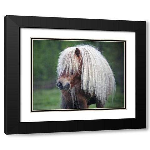 Little Pony Black Modern Wood Framed Art Print with Double Matting by Anonymous