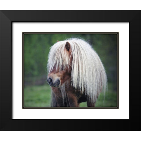 Little Pony Black Modern Wood Framed Art Print with Double Matting by Anonymous