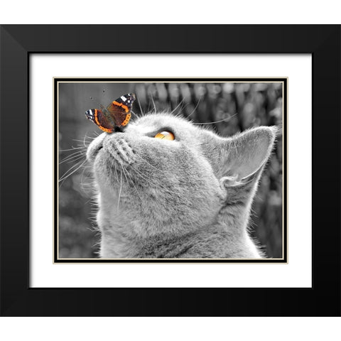 Butterfly on Nose Black Modern Wood Framed Art Print with Double Matting by Anonymous