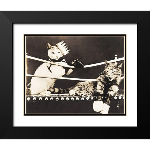 Catfight Black Modern Wood Framed Art Print with Double Matting by Anonymous