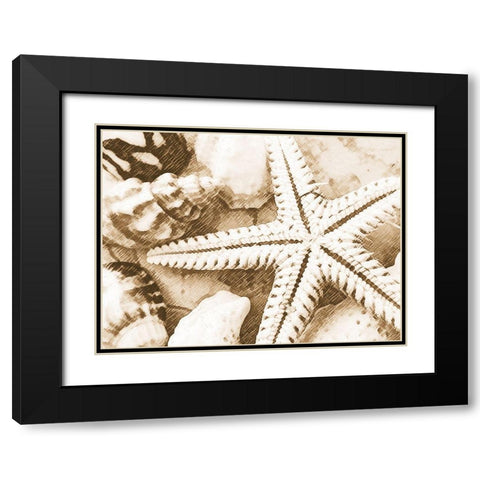 Starfish Impression Black Modern Wood Framed Art Print with Double Matting by Anonymous