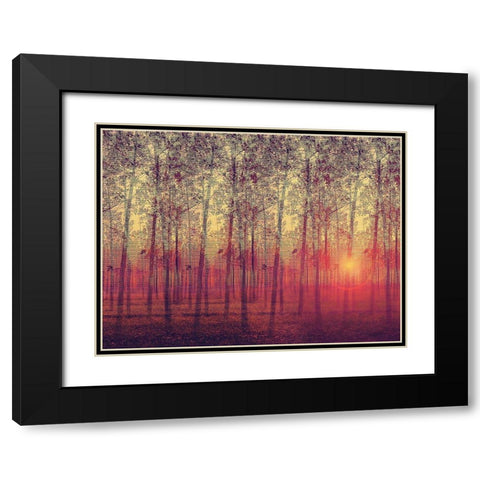 Poplar Trees in the Setting Sun Black Modern Wood Framed Art Print with Double Matting by Anonymous