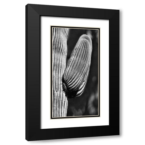 Tucson Saguaro Black Modern Wood Framed Art Print with Double Matting by Pearlman, Steve