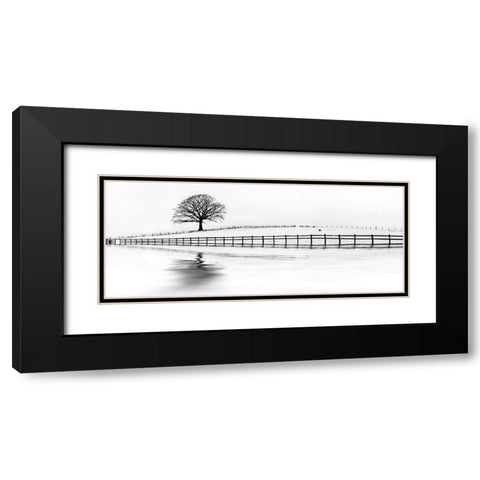 Winter Oak in a Field Black Modern Wood Framed Art Print with Double Matting by Barbone, M.