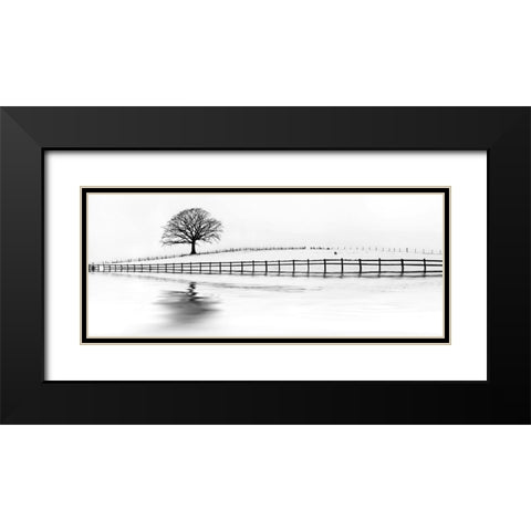 Winter Oak in a Field Black Modern Wood Framed Art Print with Double Matting by Barbone, M.