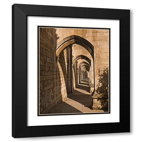 Cloister Arches Black Modern Wood Framed Art Print with Double Matting by Anonymous