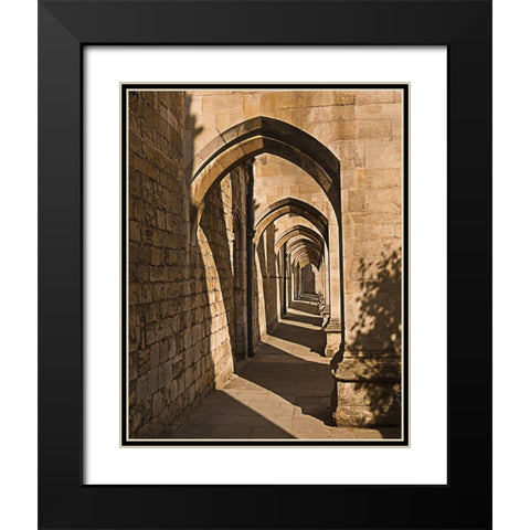 Cloister Arches Black Modern Wood Framed Art Print with Double Matting by Anonymous