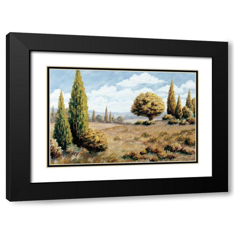 Windswept Valley Black Modern Wood Framed Art Print with Double Matting by Unknown