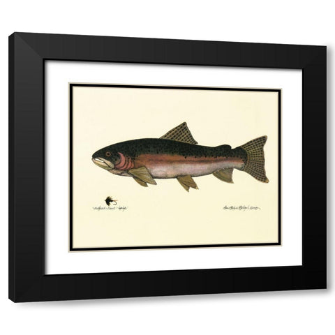 Steelhead Trout Black Modern Wood Framed Art Print with Double Matting by Unknown