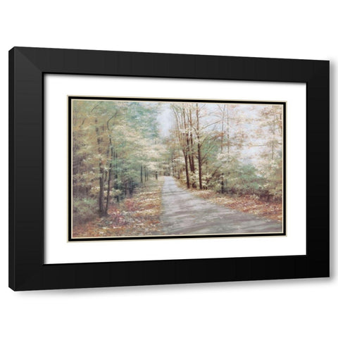 Garden Path Black Modern Wood Framed Art Print with Double Matting by Unknown