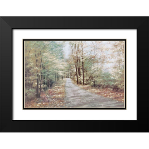 Garden Path Black Modern Wood Framed Art Print with Double Matting by Unknown