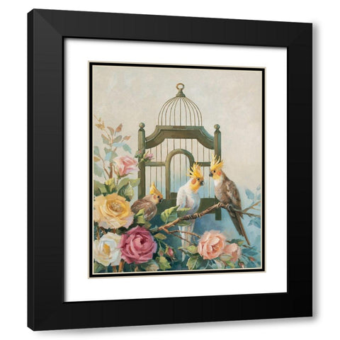 Three Cockatiels Black Modern Wood Framed Art Print with Double Matting by Unknown
