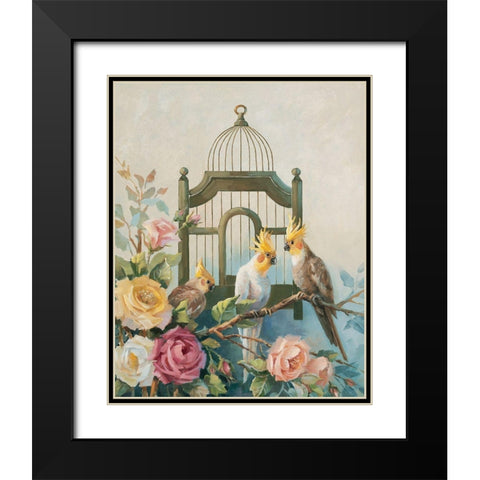 Three Cockatiels Black Modern Wood Framed Art Print with Double Matting by Unknown