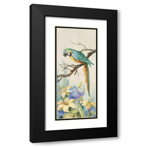 Parrot Panel II Black Modern Wood Framed Art Print with Double Matting by Unknown