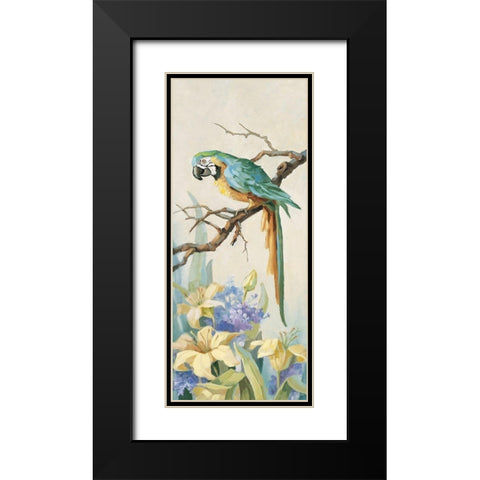 Parrot Panel II Black Modern Wood Framed Art Print with Double Matting by Unknown