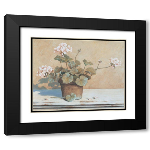 Potted Geranium II Black Modern Wood Framed Art Print with Double Matting by Unknown