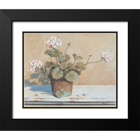 Potted Geranium II Black Modern Wood Framed Art Print with Double Matting by Unknown