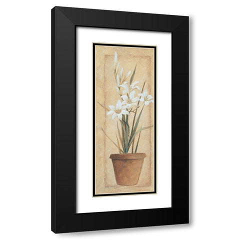 Potted Lily Black Modern Wood Framed Art Print with Double Matting by Unknown