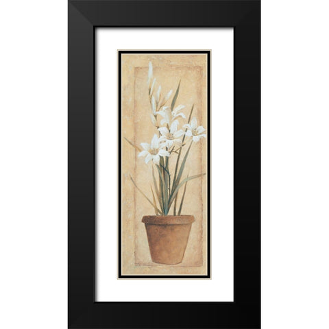 Potted Lily Black Modern Wood Framed Art Print with Double Matting by Unknown