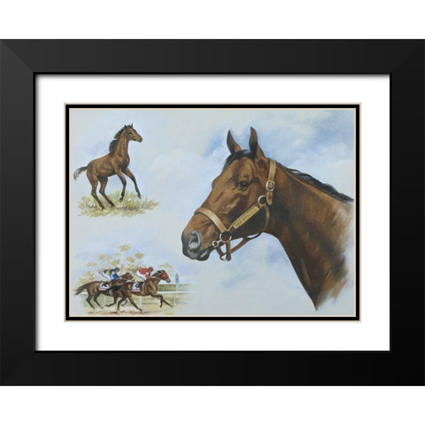 Thoroughbred I Black Modern Wood Framed Art Print with Double Matting by Unknown
