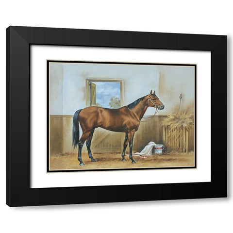 Thoroughbred II Black Modern Wood Framed Art Print with Double Matting by Unknown