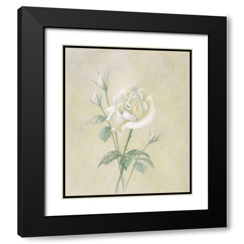 White Rose Black Modern Wood Framed Art Print with Double Matting by Unknown