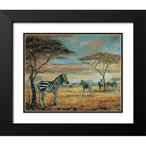 Savanne Zebras Black Modern Wood Framed Art Print with Double Matting by Unknown