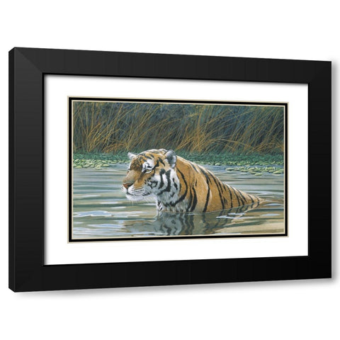 Bengal Tiger Black Modern Wood Framed Art Print with Double Matting by Unknown