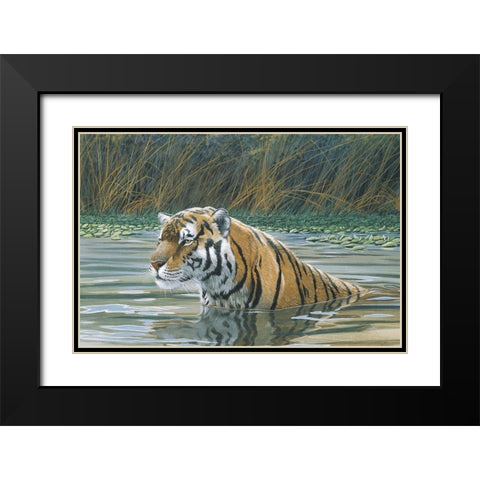 Bengal Tiger Black Modern Wood Framed Art Print with Double Matting by Unknown