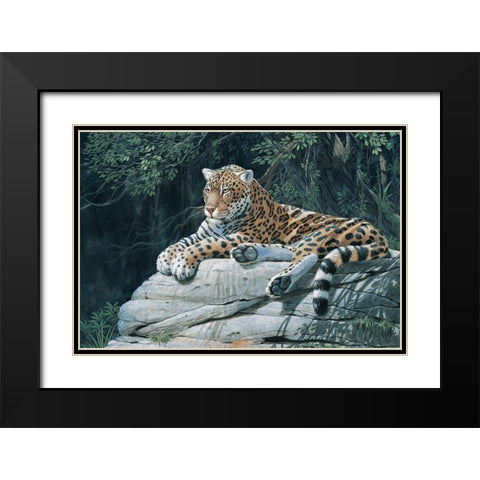 Jaguar Black Modern Wood Framed Art Print with Double Matting by Unknown
