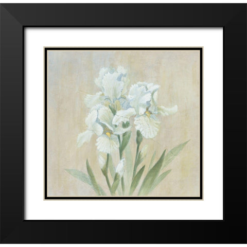 White Gladiola Black Modern Wood Framed Art Print with Double Matting by Unknown