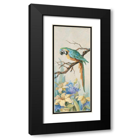 Parrot Panel I Black Modern Wood Framed Art Print with Double Matting by Unknown