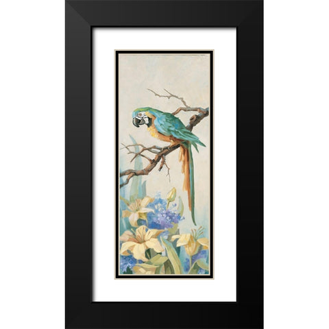 Parrot Panel I Black Modern Wood Framed Art Print with Double Matting by Unknown