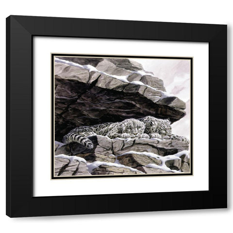 Snow Leopards Black Modern Wood Framed Art Print with Double Matting by Unknown
