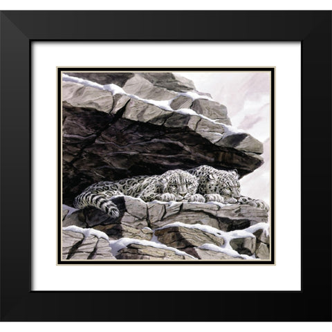 Snow Leopards Black Modern Wood Framed Art Print with Double Matting by Unknown