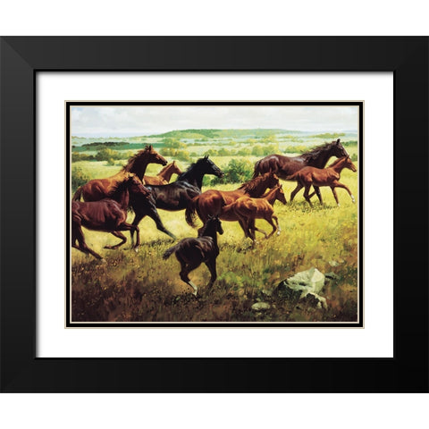 Wild Horses I Black Modern Wood Framed Art Print with Double Matting by Unknown