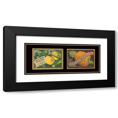 Apricots and Pineapple Black Modern Wood Framed Art Print with Double Matting by Unknown