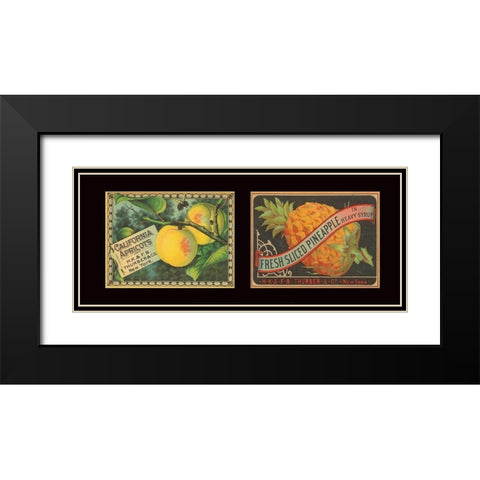 Apricots and Pineapple Black Modern Wood Framed Art Print with Double Matting by Unknown