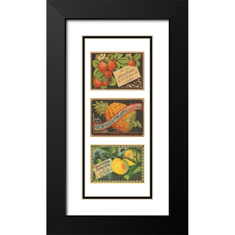 Strawbwerries-Pineapple-Apricots Black Modern Wood Framed Art Print with Double Matting by Unknown