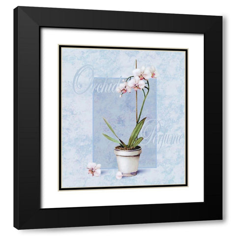 Orchid Black Modern Wood Framed Art Print with Double Matting by Unknown