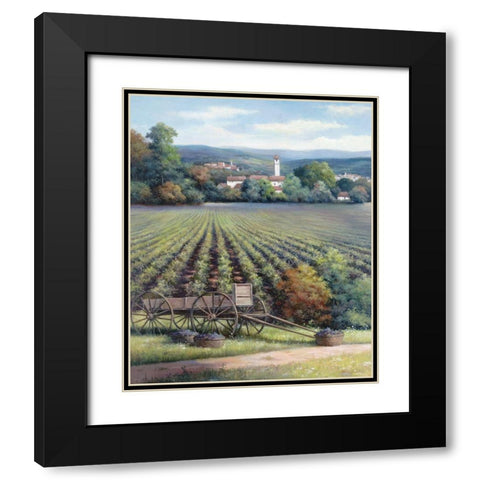 Vineyards I Black Modern Wood Framed Art Print with Double Matting by Unknown