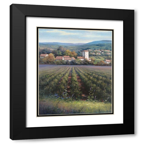Vineyards II Black Modern Wood Framed Art Print with Double Matting by Unknown