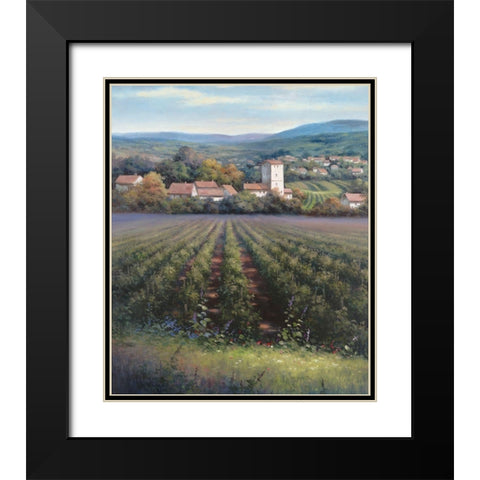 Vineyards II Black Modern Wood Framed Art Print with Double Matting by Unknown