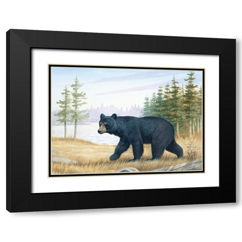 Black Bear Black Modern Wood Framed Art Print with Double Matting by Unknown