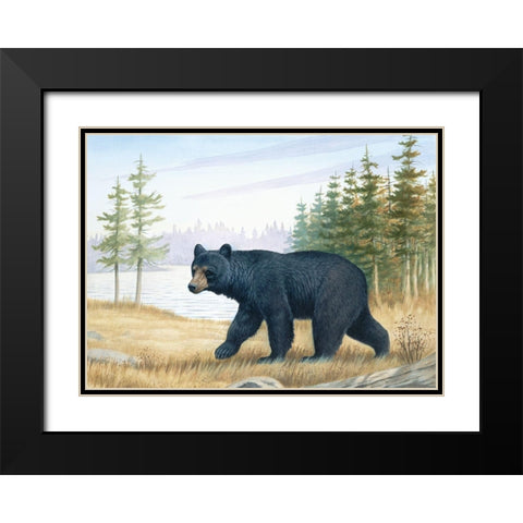 Black Bear Black Modern Wood Framed Art Print with Double Matting by Unknown
