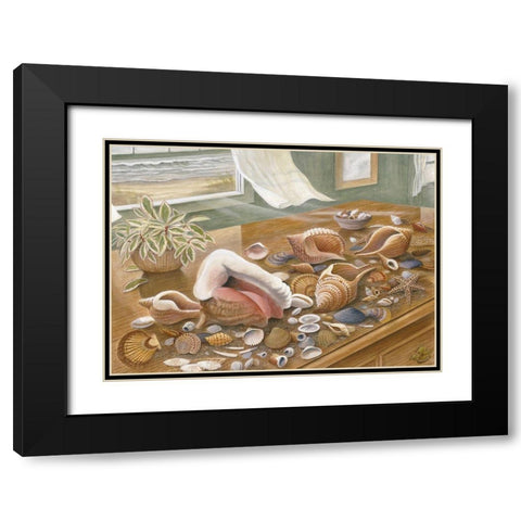 Seashells I Black Modern Wood Framed Art Print with Double Matting by Unknown