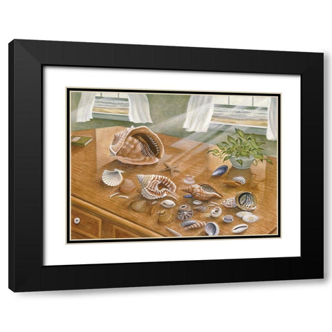 Seashells II Black Modern Wood Framed Art Print with Double Matting by Unknown