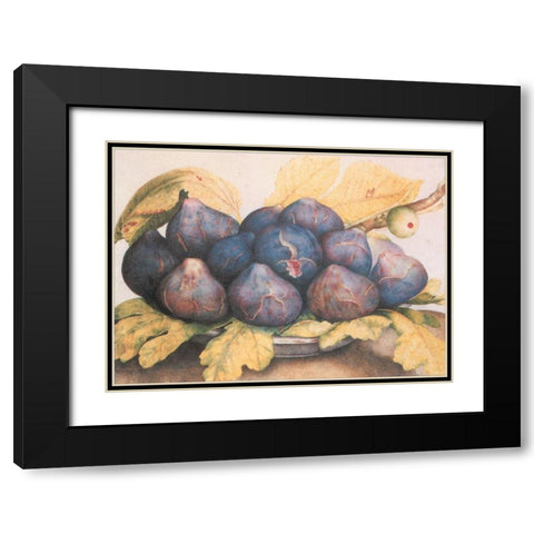 Figs Black Modern Wood Framed Art Print with Double Matting by Unknown