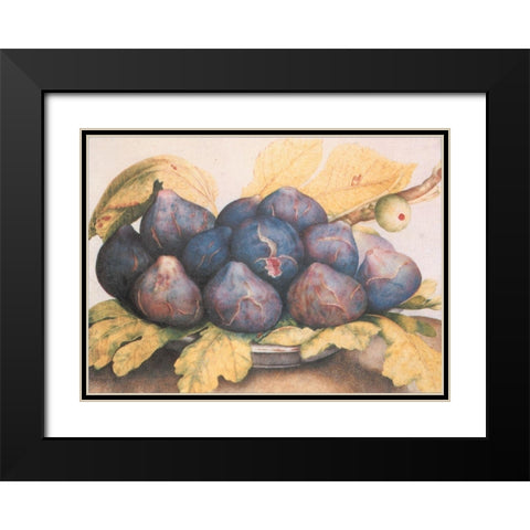 Figs Black Modern Wood Framed Art Print with Double Matting by Unknown